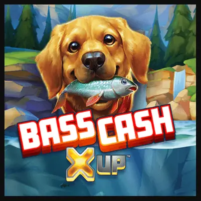 Bass Cash X UP